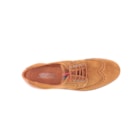 257 300 C Camel6_1-6